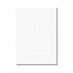 A4 Exercise Paper 10mm Squared Unpunched