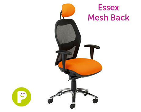 Essex chair with mesh back available in a range of colours