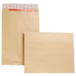 16x12 Gusset Plain & Window Envelopes