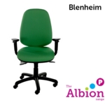Blenheim Task Chair with Task Adjustable Arms