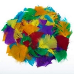 Feathers Assorted 28G