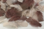 Natural Feathers 20G