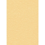 Decadry Paper 95g Pk100 Parchment Gold