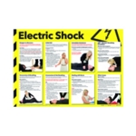 Signslab 420X590 Elec Shock Poster