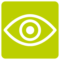 Case Study Vision | Polycopy